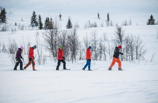 Gomobu Aktiv Vinter Truger